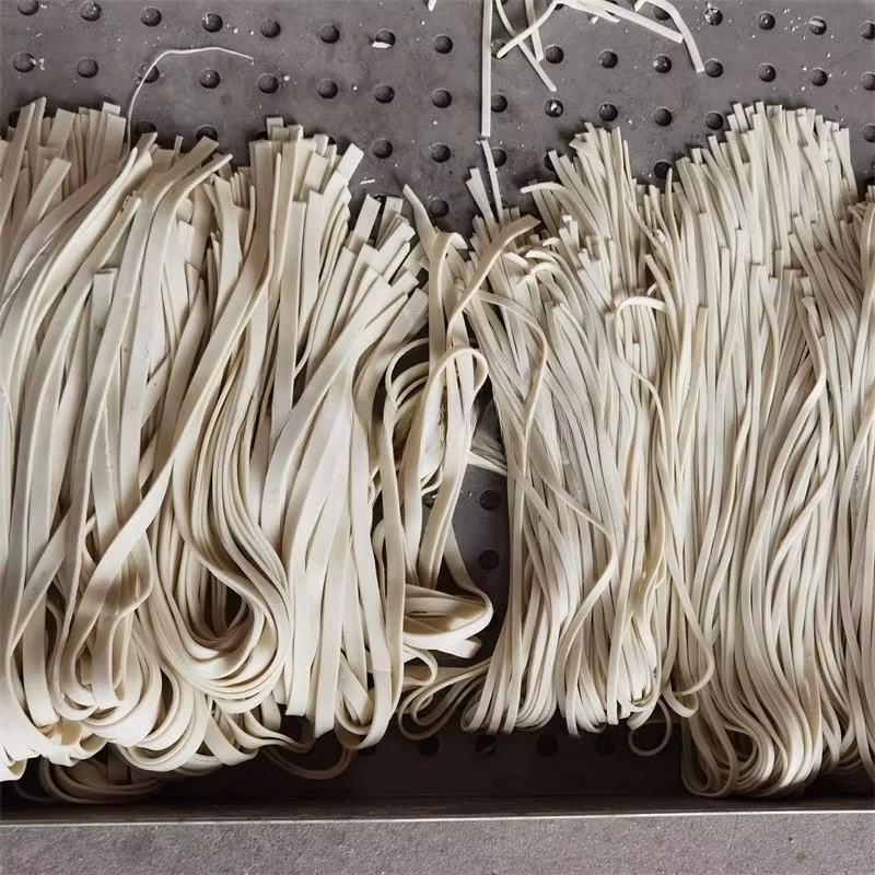 Intelligente noedelmachine, pa - Pasta Machine Electric recensie en prijs
